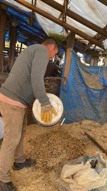 Life with a Yörük Shepherd